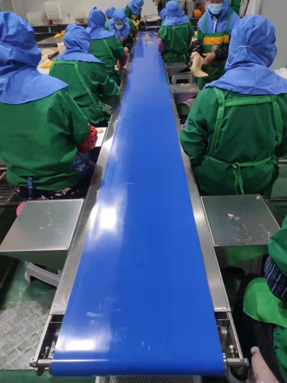 大型速凍水餃廠加工設備有哪些 水餃加工設備搭配  大型凍肉絞肉機
