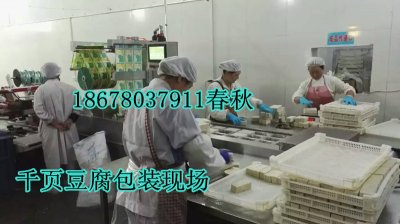 春秋千頁豆腐設備使用現場
